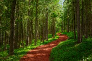 Creating a Pathway to Positive Thinking