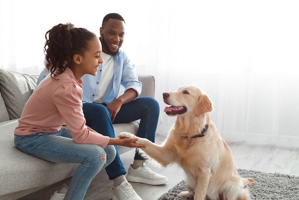 Human,And,Animal,Connection,Concept.,Obedient,Dog,Giving,Paw,To